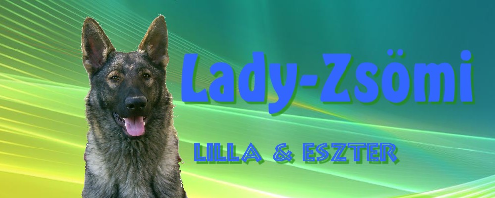 Lady-Zsmi
